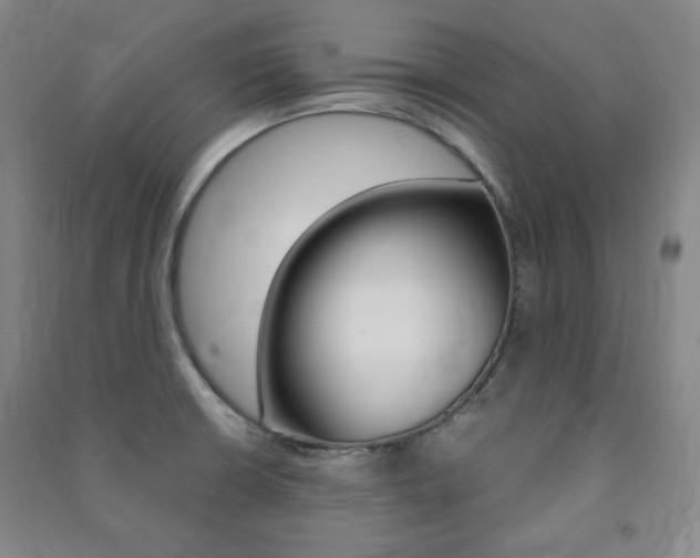 X0000091491426200708161201