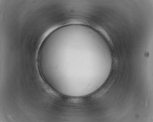 X0000091491427200708161201