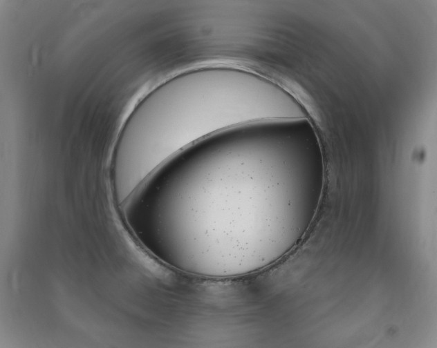 X0000091491428200708161201