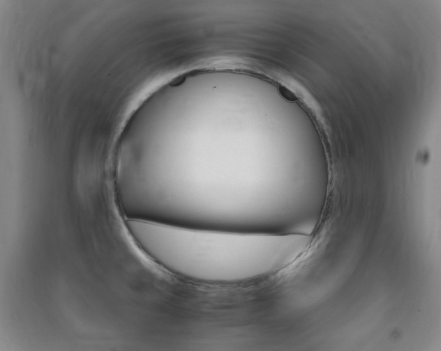 X0000091491429200708161201