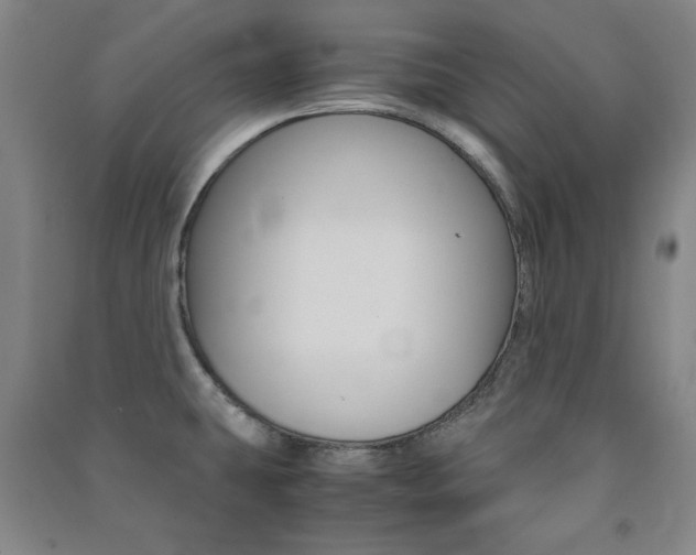 X0000091491431200708161201