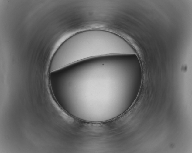 X0000091491432200708161201