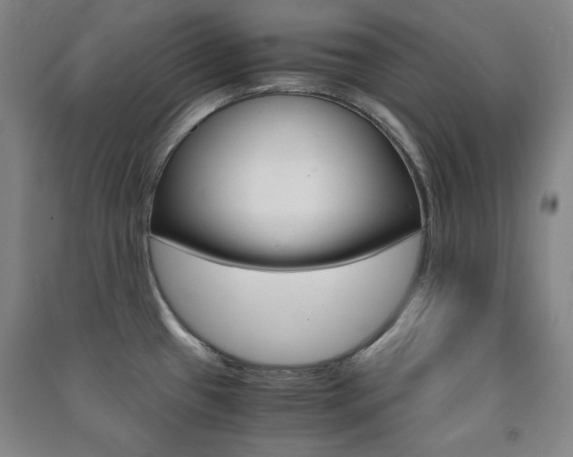 X0000091491433200708161201