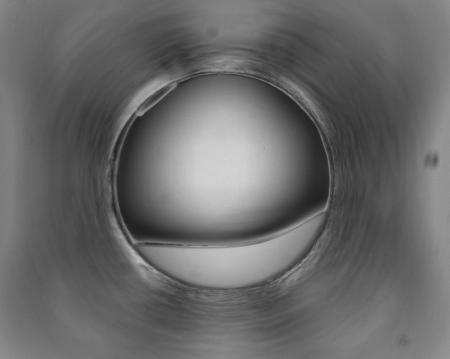 X0000091491434200708161201