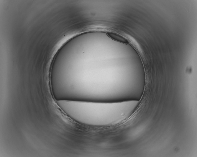X0000091491435200708161201