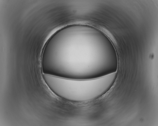 X0000091491436200708161201