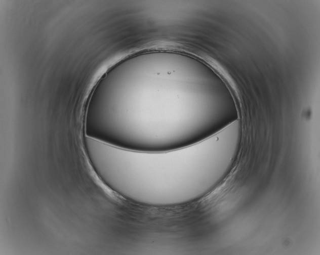 X0000091491437200708161201