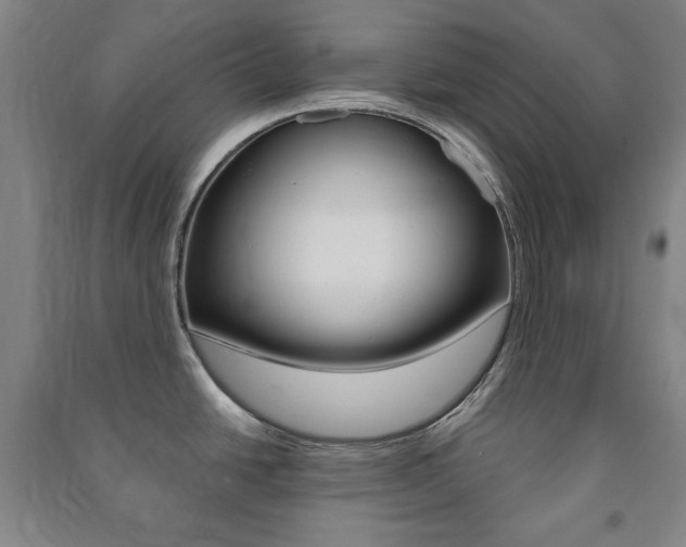 X0000091491438200708161201