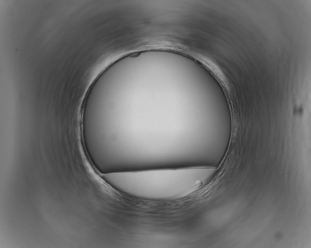 X0000091491439200708161201