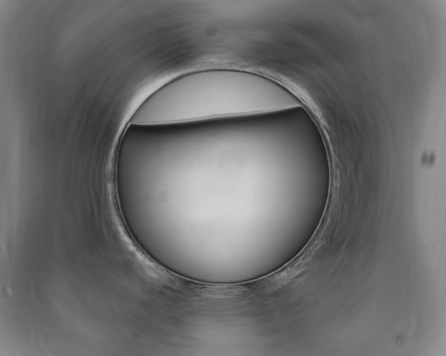 X0000091491440200708161201