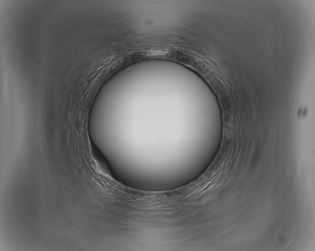 X0000091491441200708161201