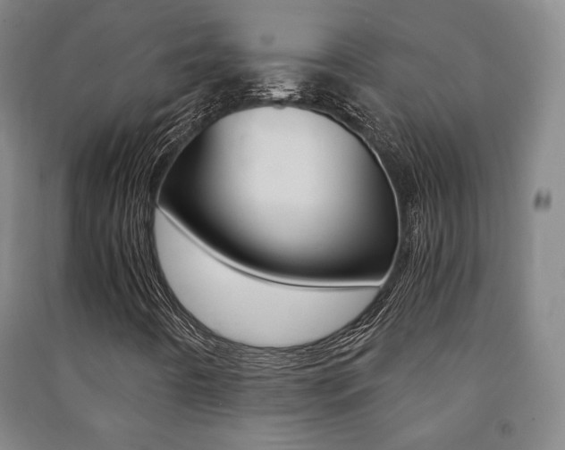 X0000091491442200708161201