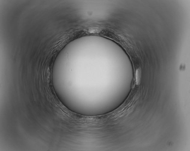 X0000091491443200708161201
