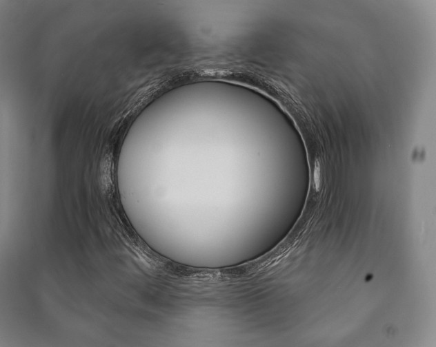 X0000091491444200708161201
