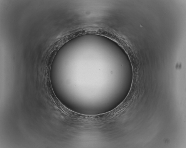X0000091491445200708161201