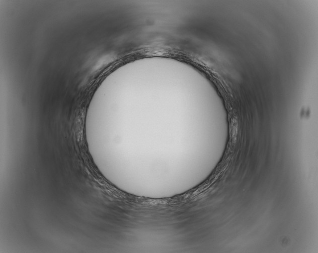X0000091491446200708161201