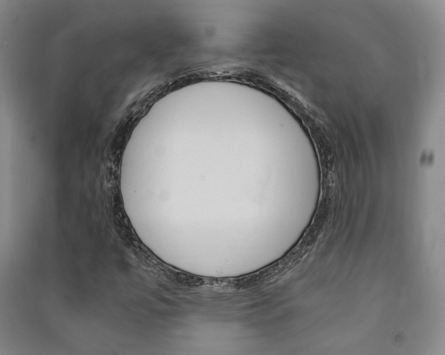 X0000091491447200708161201