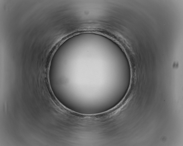 X0000091491449200708161201