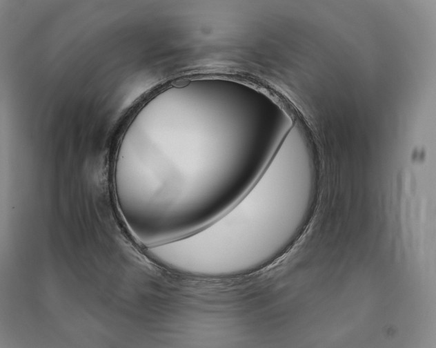 X0000091491450200708161201