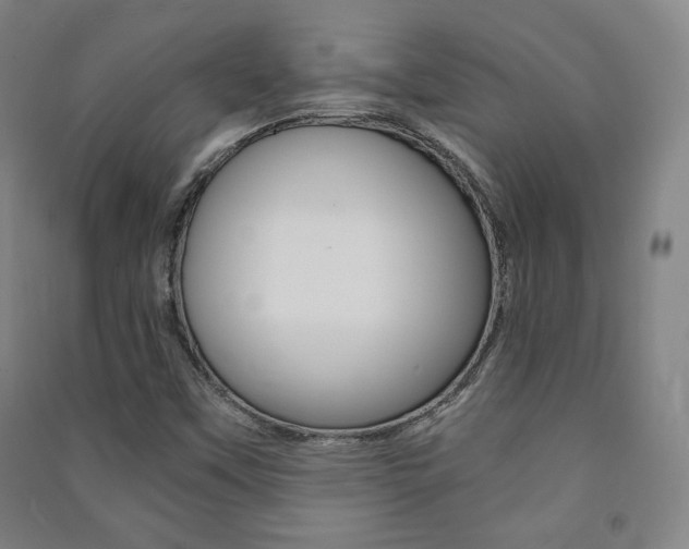 X0000091491451200708161200