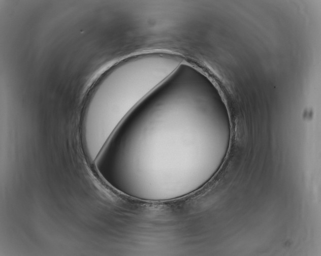 X0000091491452200708161200