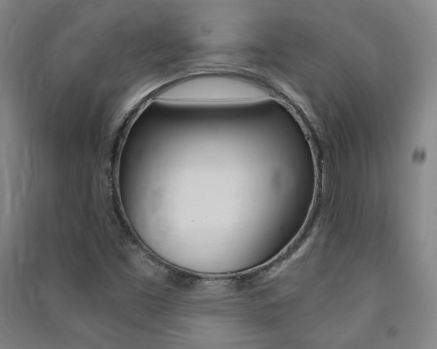 X0000091491453200708161200