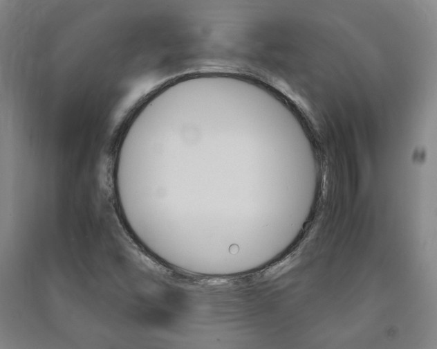 X0000091491454200708161200
