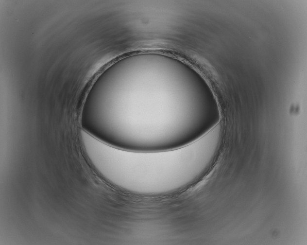 X0000091491457200708161200
