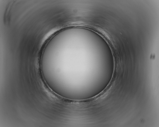X0000091491458200708161200