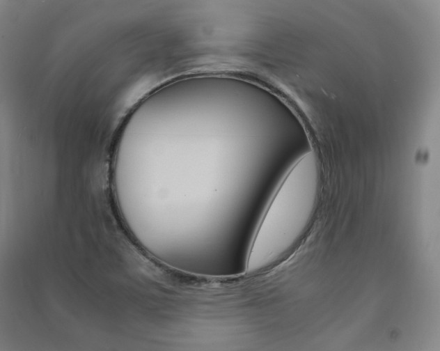 X0000091491459200708161200