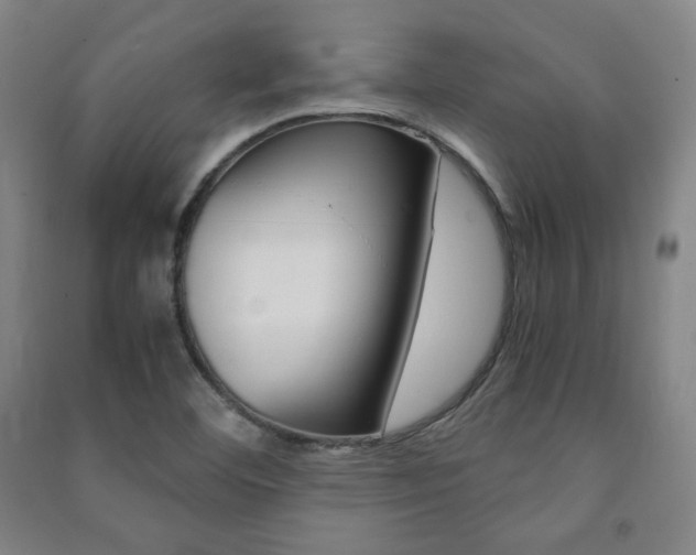 X0000091491460200708161200