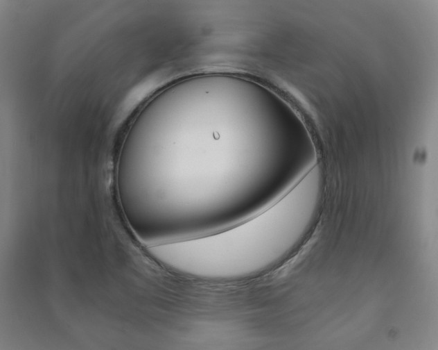 X0000091491461200708161200