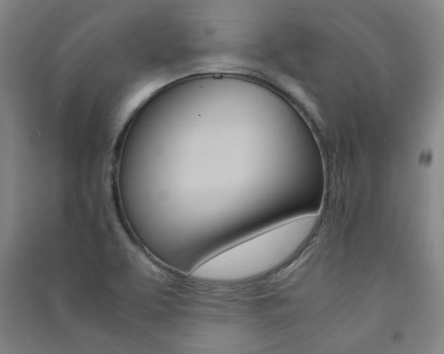 X0000091491463200708161200