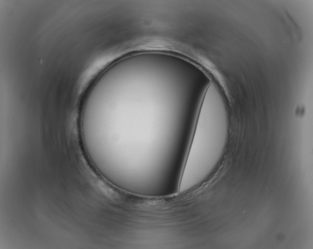 X0000091491464200708161200