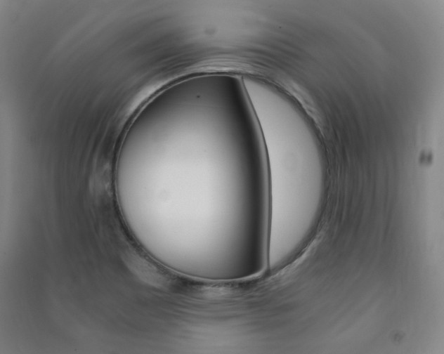 X0000091491465200708161200