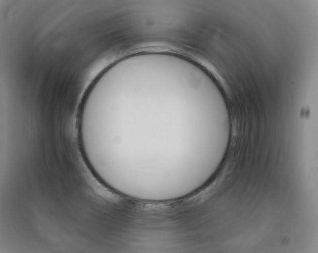 X0000091491466200708161200