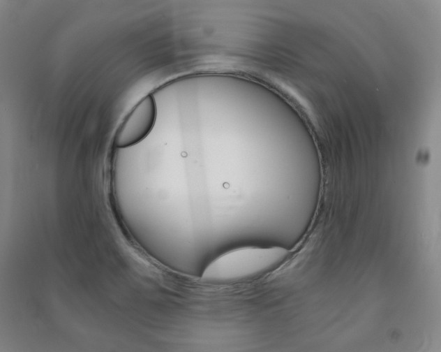 X0000091491467200708161200