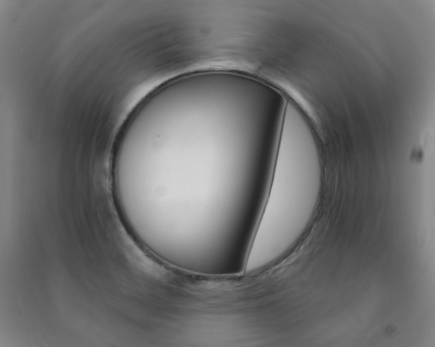 X0000091491468200708161200
