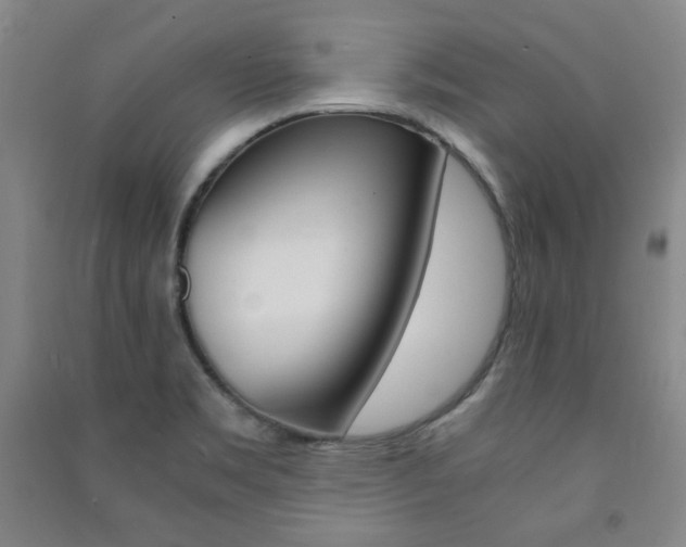 X0000091491469200708161200