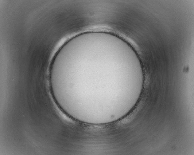 X0000091491470200708161200