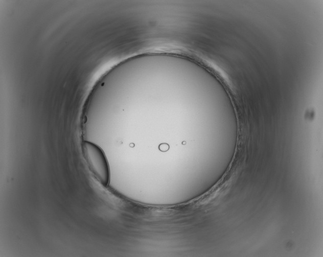X0000091491471200708161200