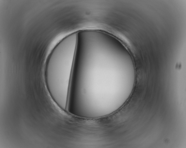X0000091491472200708161200