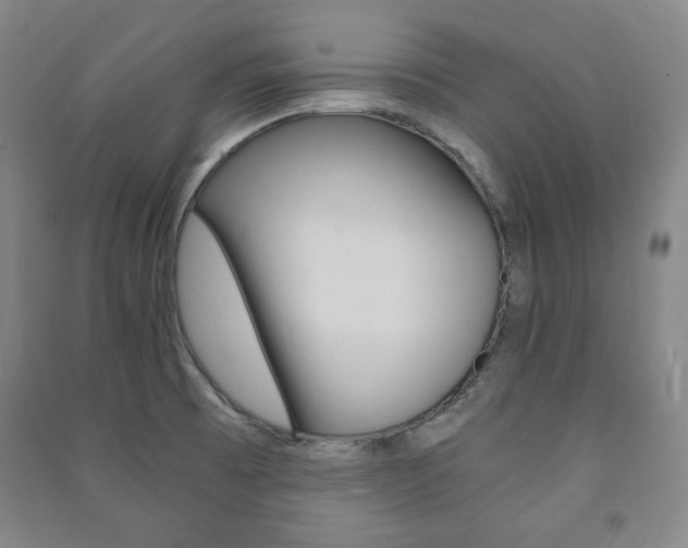X0000091491473200708161200