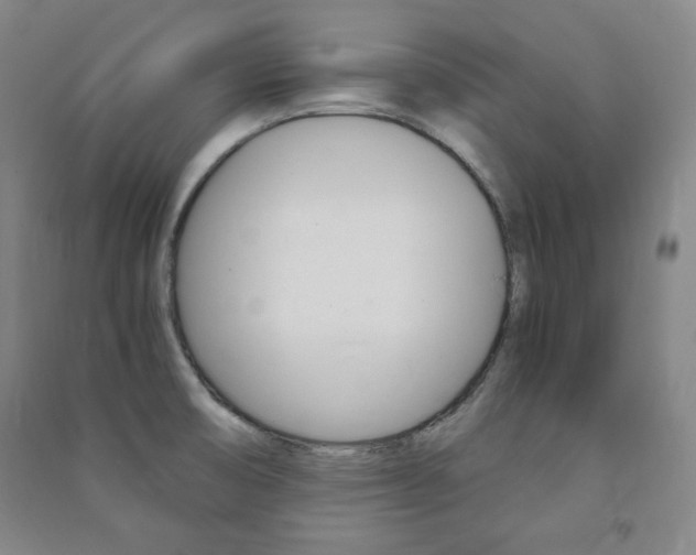X0000091491474200708161200