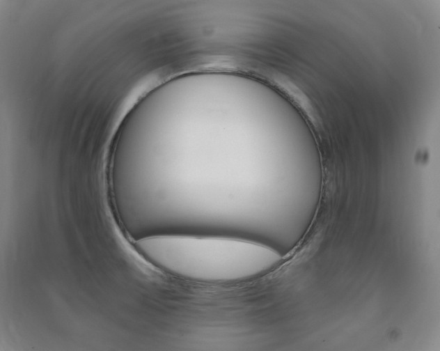 X0000091491475200708161200