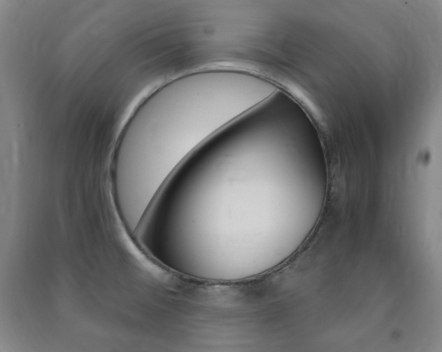 X0000091491476200708161200