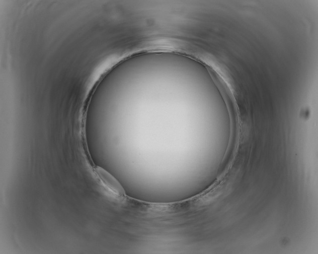 X0000091491477200708161200