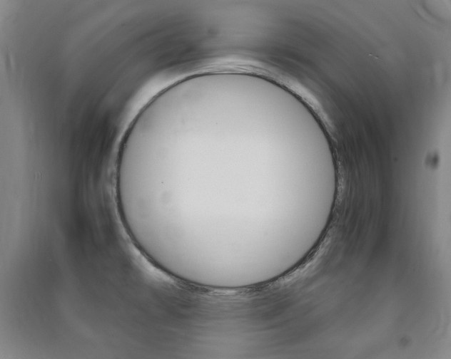 X0000091491478200708161200