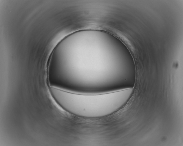 X0000091491479200708161200