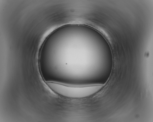 X0000091491480200708161200